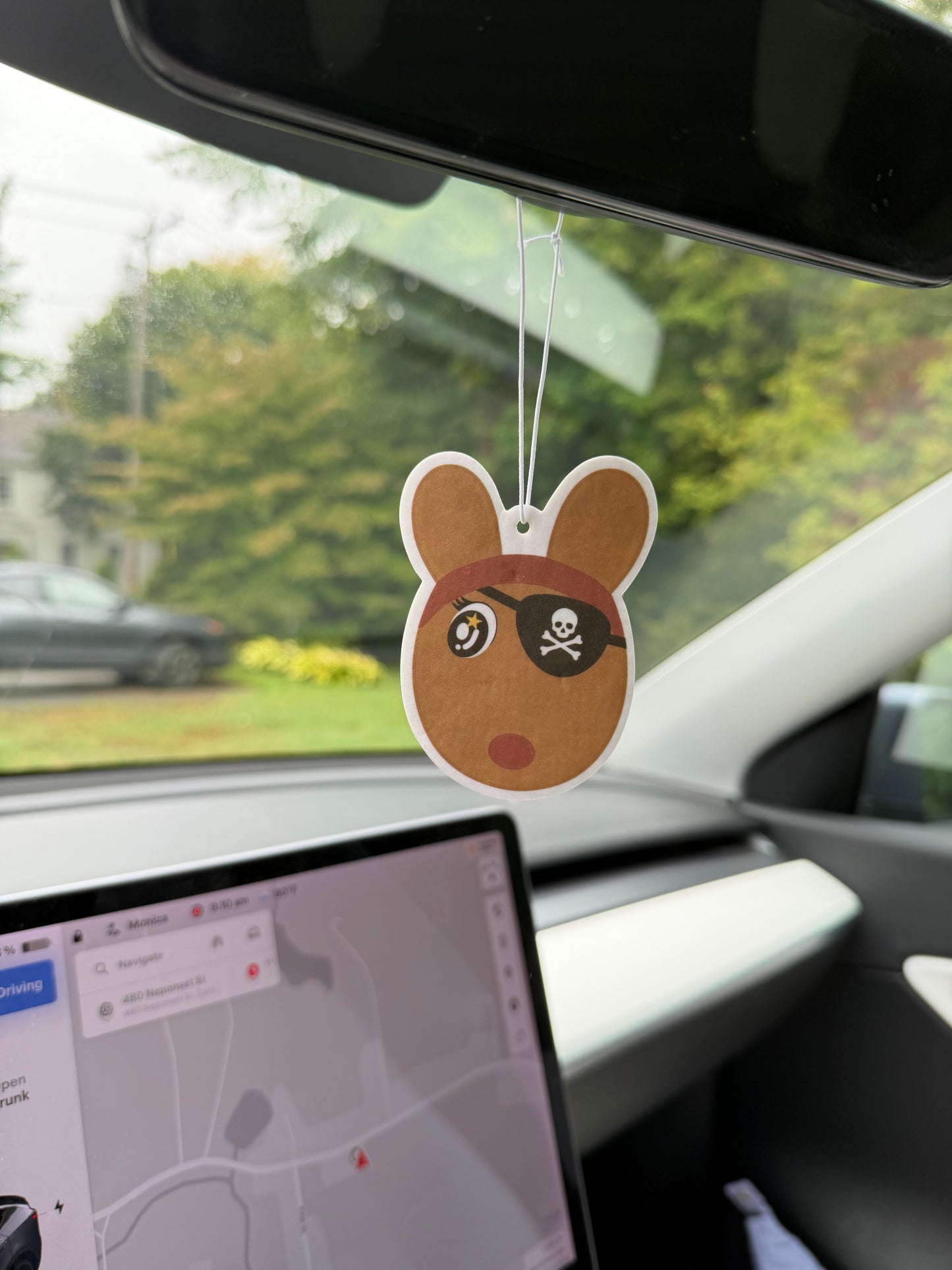 Robby Air Freshener